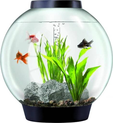 biorb Classic 30 l