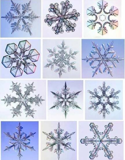 many different snowflakes are shown in multiple pictures