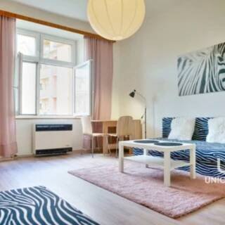 Pronájem byty 1+1 36 m²