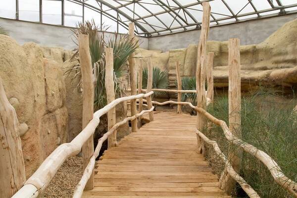 Dvorská zoo otevřela přestavěný pavilon Ptačí svět