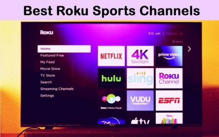 Best Roku Sports Channels to Watch Sport in [wpdts-year] 10