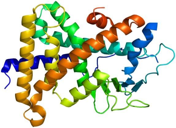 Pregnane X receptor