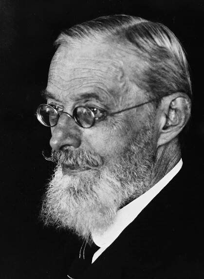 Guido Banti - Wikipedia