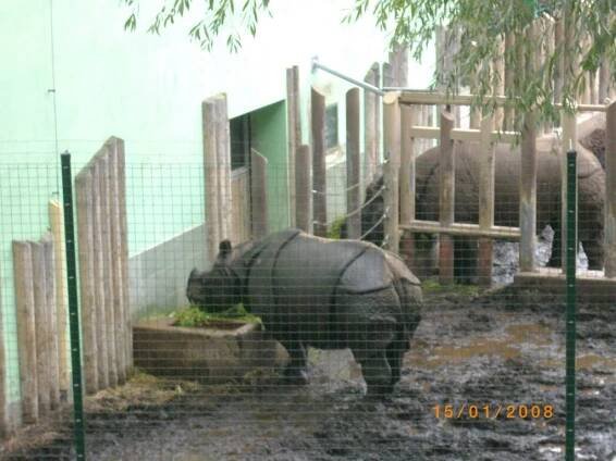 Zájezd do ZOO a DINOPARKU v Plzni - Oficiální stránky obce Kleneč