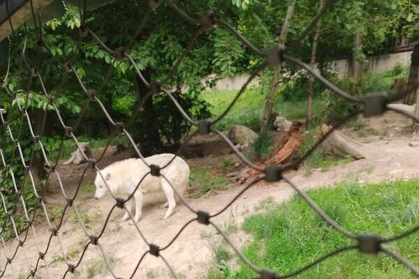 Výlet k MDD - ZOO Olomouc | ZŠ a MŠ Předklášteří
