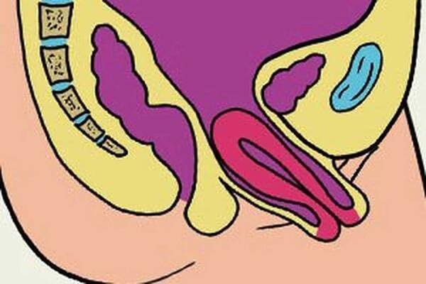 Příčiny a příznaky atrofie vaginálních svalů / Atrofie svalů