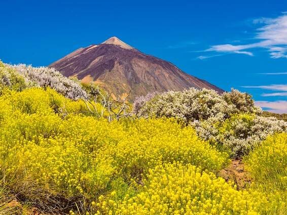 Pico del Teide – Teneriffa