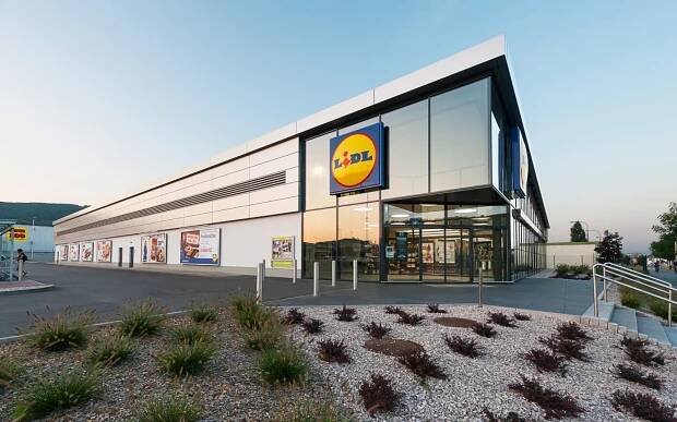 Galerie: Více než učitelé. Lidl zvyšuje nástupní mzdu pro prodavače na 28 tisíc - Fotka 2 - Echo24.cz