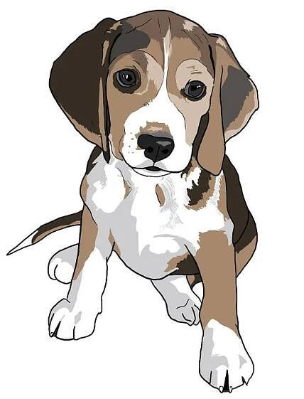 a brown and white dog laying down on the ground
