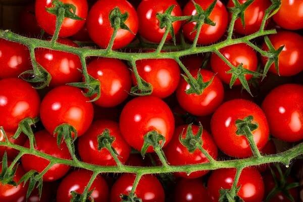 Rohlík.cz Rajčata cherry na větvičce Rozálka, balení
