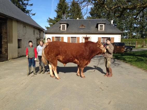 2ST TRIP: VISIT OF THE BOURBOULOUX’S HERD – Kbs-Genetic