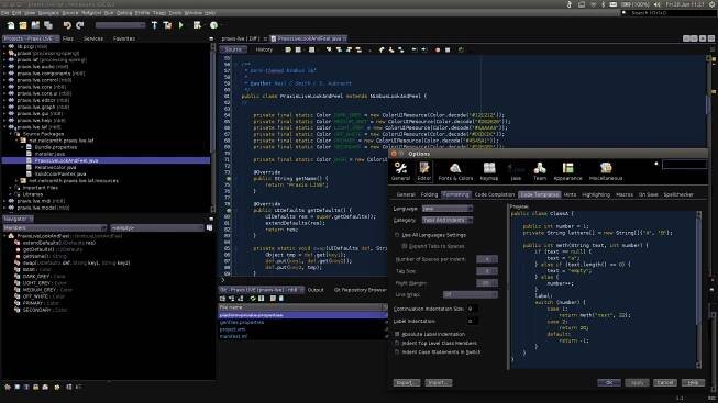 desarrollo de software