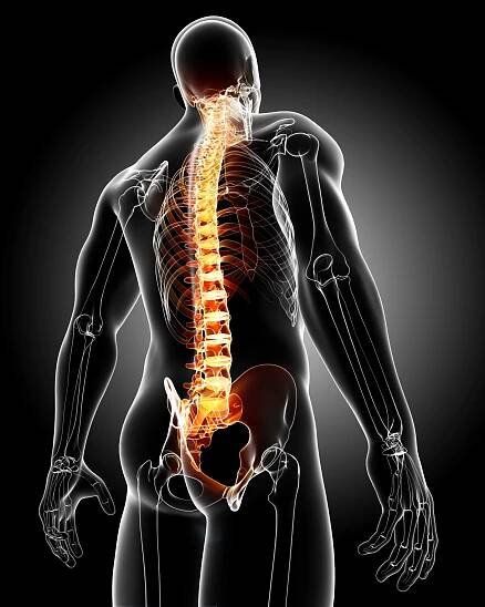 Zadní bolest anatomie — Stock obrázek