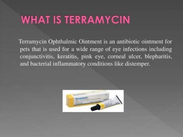 PPT - Terramycin for Dogs and Cats PowerPoint Presentation, free download - ID:7479719