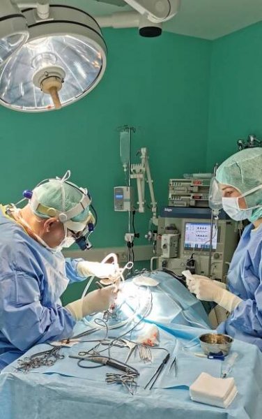Neurochirurgie – Tierneurologie
