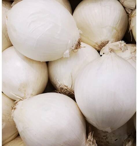 Cibule sazečka SNOWBALL 250g