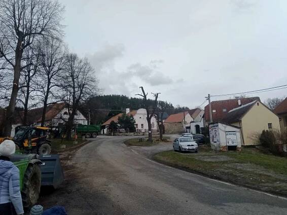 2024 - prořez lip na návsi březen 2024 - Oficiální stránky obce Hoštice