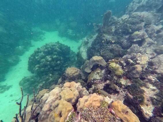 Snorkeling in the Florida Keys | The Ultimate Guide - Snorkel and Hike