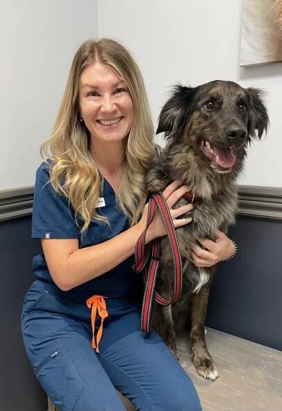 Dr. Devan Boss - Belleville Animal Clinic