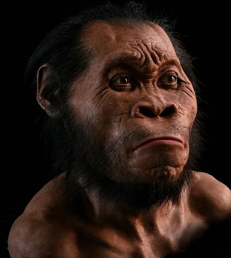 The ‘Underground Astronauts’ in search of new human species