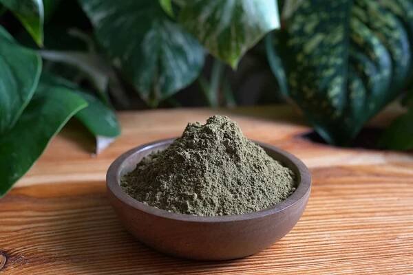 Kratom alternativa - Mitragyna Javanica