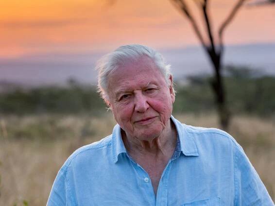 Our Planet review: Why David Attenborough's Netflix series Our Planet is a direct rebuke of the BBC