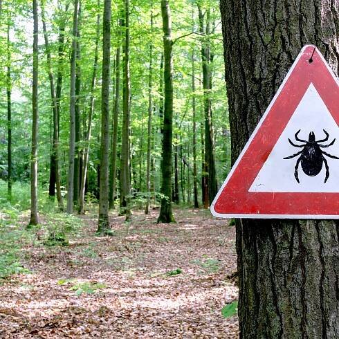 8 Tick-Borne Illnesses That Aren’t Lyme Disease