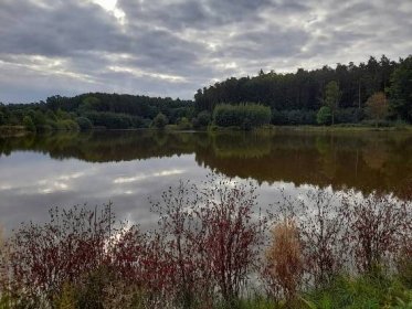 Bažiny a rybníky u Krumsínu se stanou základem unikátního arboreta