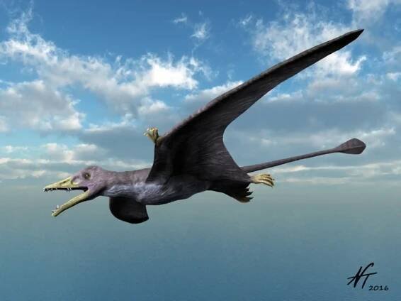 Eudimorphodon / © Nobumichi Tamura. Verwendet mit freundlicher Genehmigung des Autors