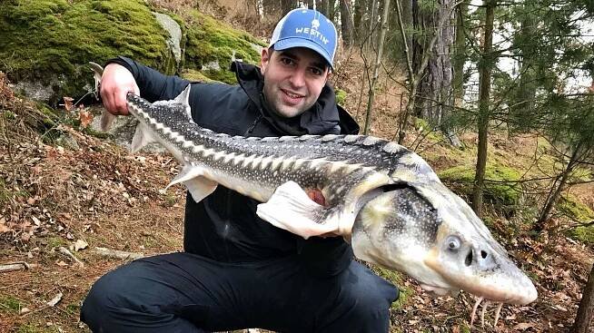 Lov jeseterů | MV Fishing.cz