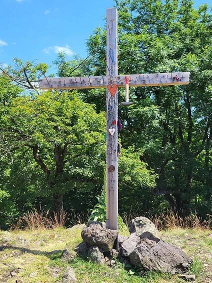 Extra: Divozel v Malých Karpatoch kvitne naplno – kam sa vydať za žltou krásou | HIKING.SK