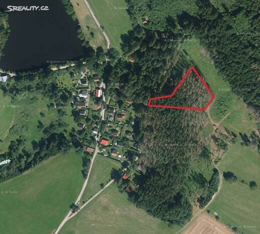 Prodej  lesa 555 m², Rohozná, okres Jihlava