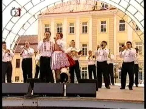 Vacenovjáci - Chtěl bych dívča vypovědět