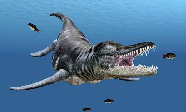 Liopleurodon