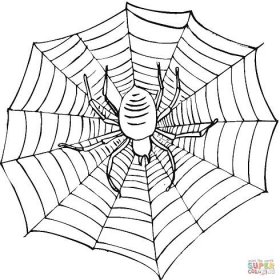 Strašidelný pavouk v síti omalovánka | Omalovánky k Vytisknutí Zdarma