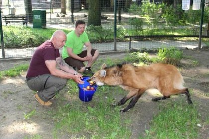 Zážitkové programy umožní bližší poznání zoo i zvířat – Zoo Hodonín