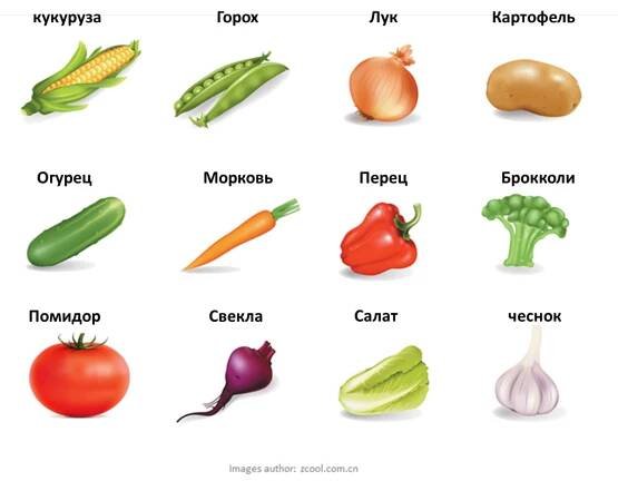 zelenina po rusky | İtalyanca