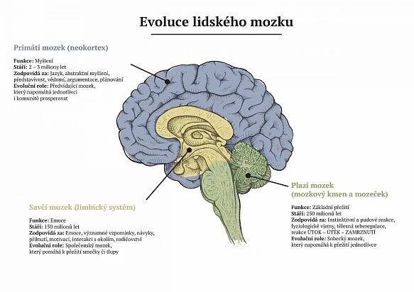 Sebastian James: Ajťáci často přemýšlí bez emocí jako Spock, může to dělat problémy ve vztazích - Lupa.cz