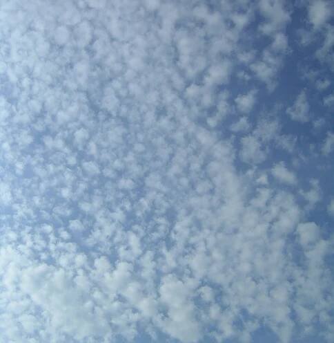 Snímek 'Cirrocumulus' - PŘÍRODA.cz