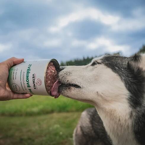 Zvěřinové paté 850 g | BARF krmivo pro psy a kočky | Vetamix s.r.o.