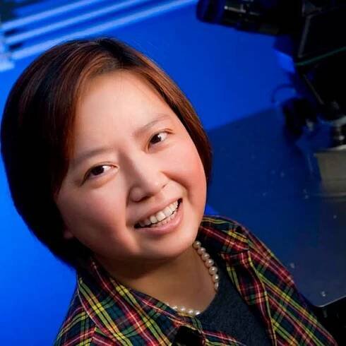 Xin Zhang, PhD | College of Engineering
