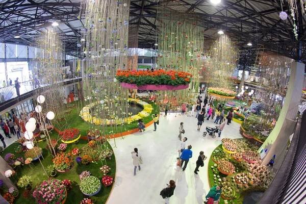 Fotogalerie: Začala jarní Flora: hlavní expozice bere dech - OLOMOUC.CZ