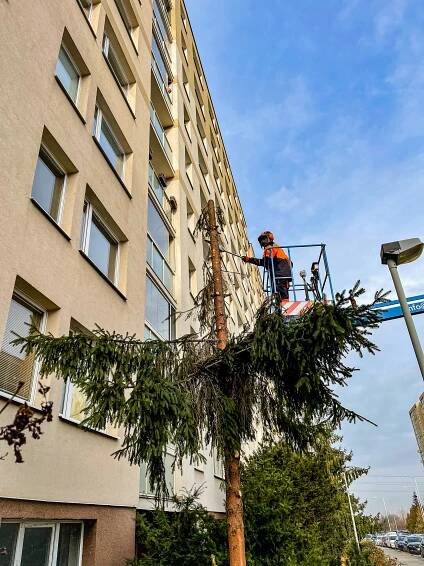 Pokácení Smrků z vysokozdvižné plošiny | PVJ GROUP