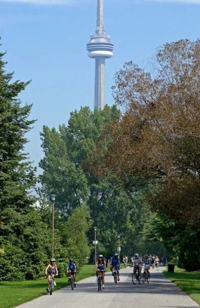 Native trees in Toronto