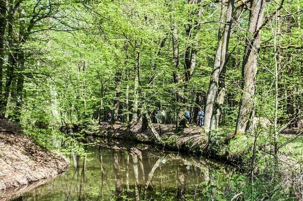 Procházka – Břehy u Přelouče. 🤩 – RayllBeRi