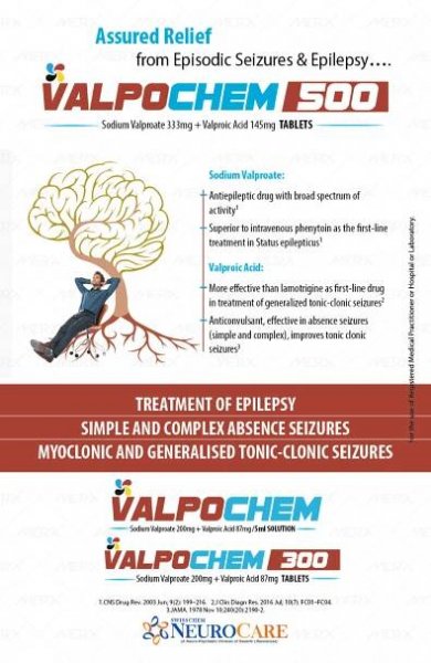 VALPOCHEM-500-01