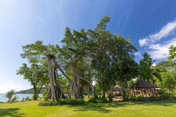 Rezort Khaolak Merlin 5*