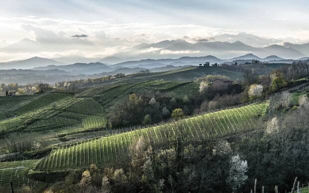 Alto Piemonte • Cantina Gaggiano
