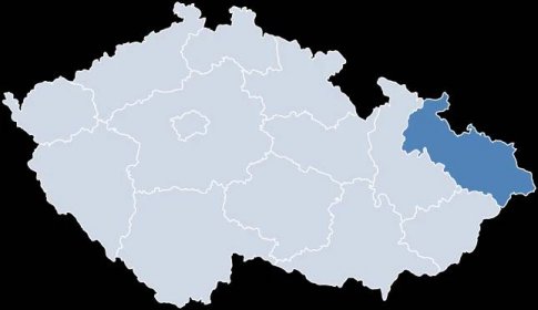Současnost a perspektiva krajských nemocnic v Moravskoslezském kraji - PDF Stažení zdarma