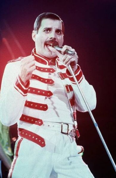 Od smrti Freddie Mercuryho uplynulo dvacet let, jeho odkaz žije dál